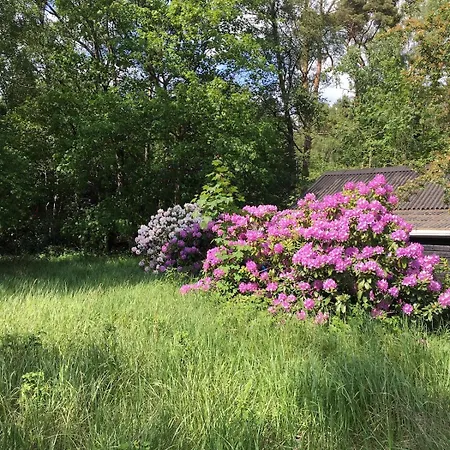 Vakantiehuis In Beautiful Surroundings By Sejs, Near Silkeborg