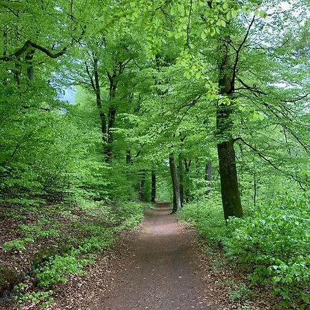 Vakantiehuis In Beautiful Surroundings By Sejs, Near Silkeborg